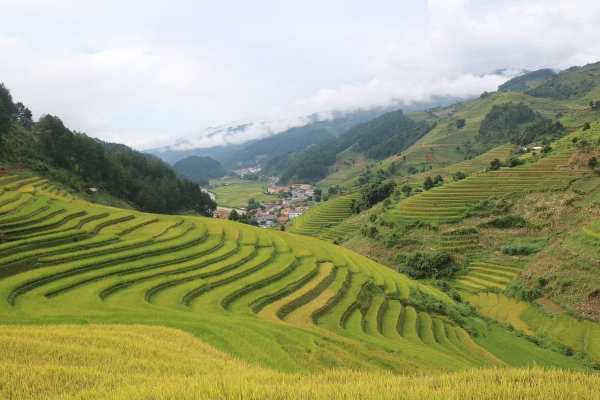 Mu Cang Chai Tour 3 Days - photo 32